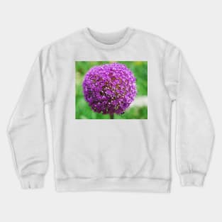 Allium Giganteum Crewneck Sweatshirt